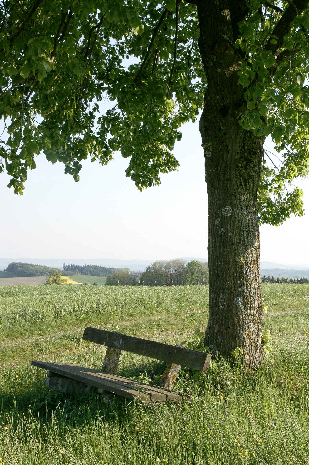 Spaziergang